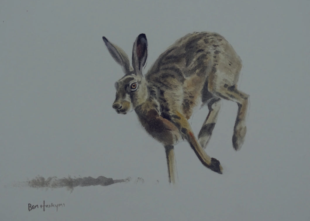 Lolloping Hare by Ben Hoskyns (Pack of 10 Cards)
