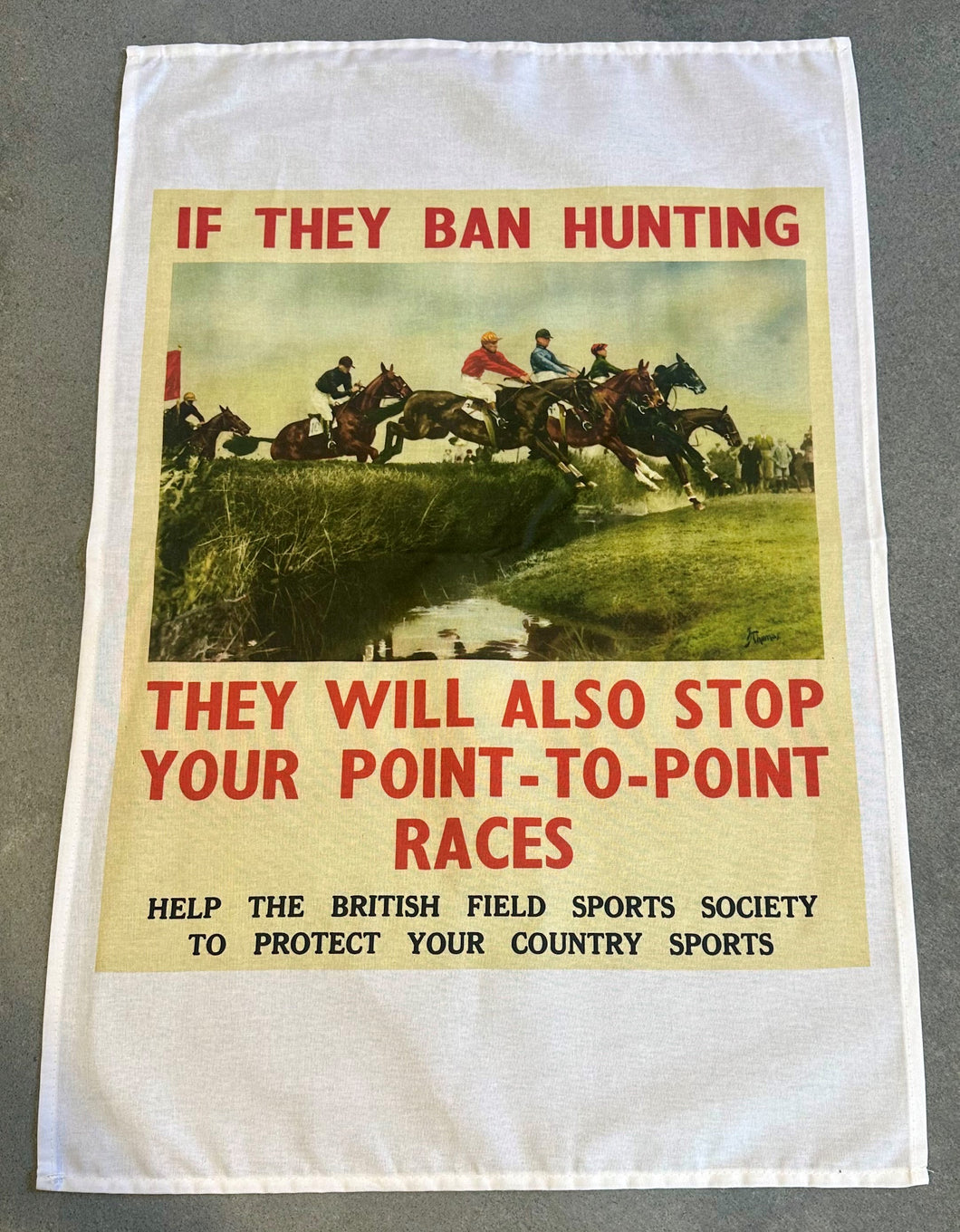 Point to Point Tea Towel