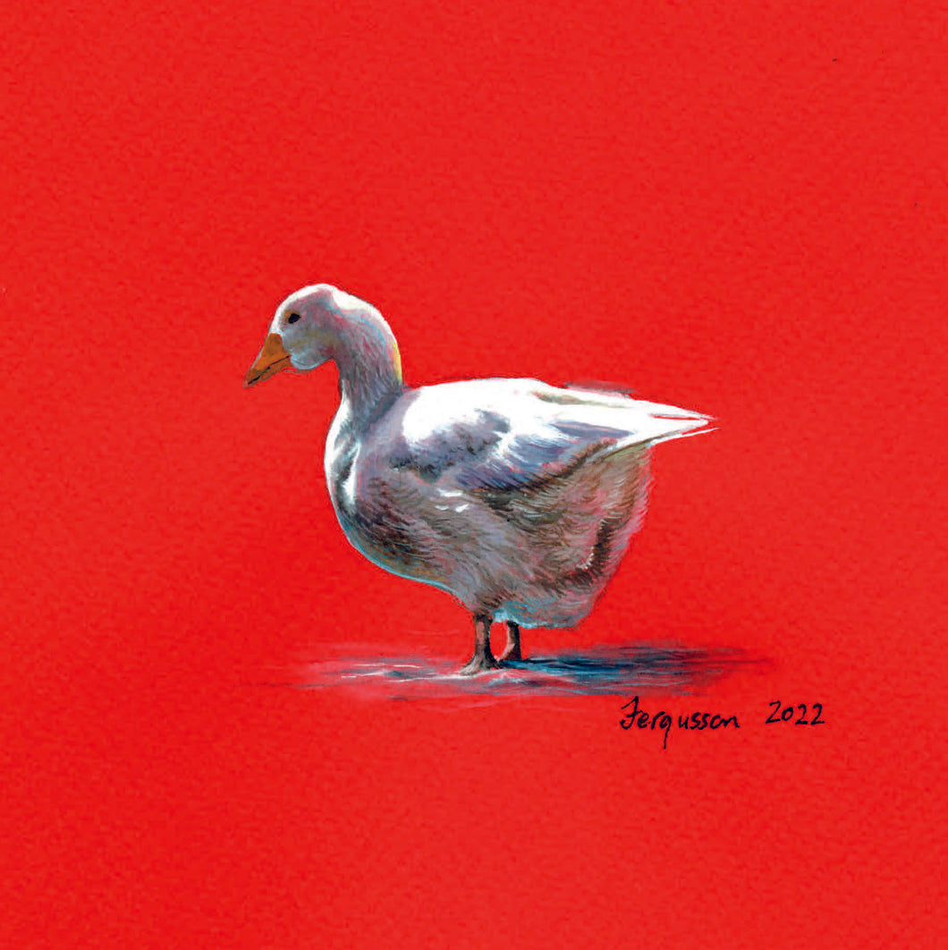 Christmas Goose by Helen Nall (Pack of 10 Cards)