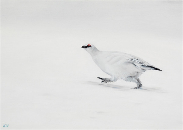 Rushing for Dinner - Christmas Cards