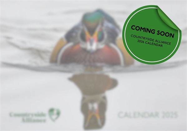 2026 Calendar