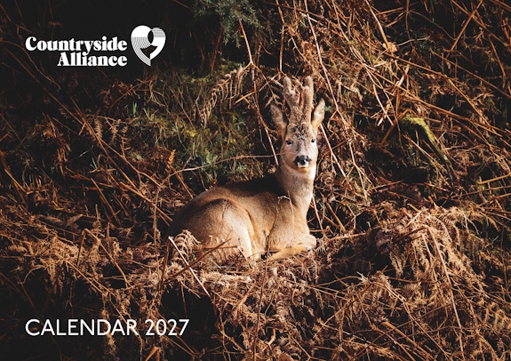 2027 Calendar