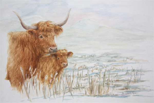 A Highland Winter - Christmas Cards