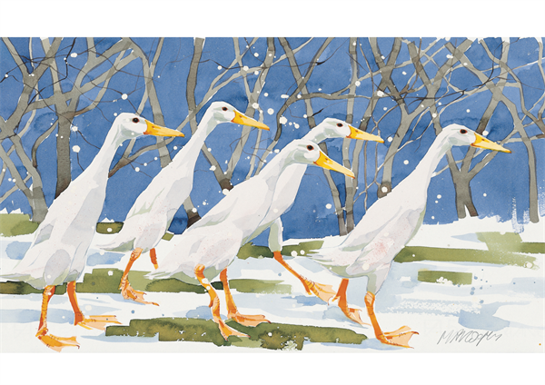 Indian Runner Ducks - Christmas Cards